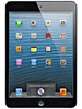 iPad Mini WiFi+4G