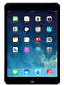 iPad Mini 2 WiFi+4G
